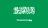 Saudi Arabia import
